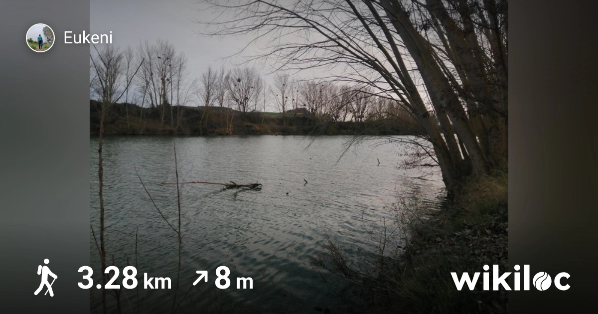 Mapa y perfil de la ruta por Briñas, el puente de Briñas y el mirador del Ebro