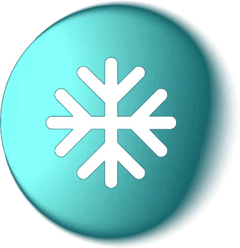Símbolo de SEPES Invierno