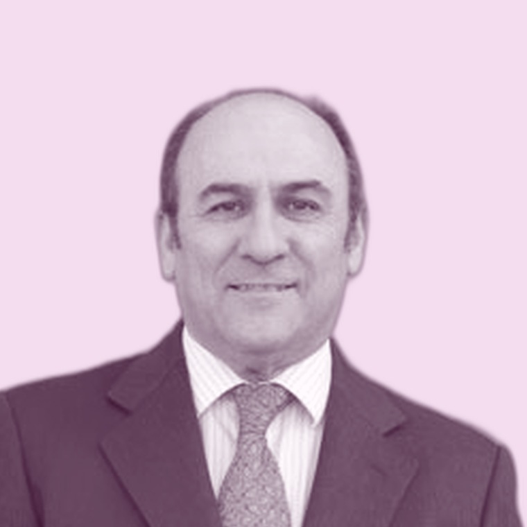 Rafael Martínez de Fuentes